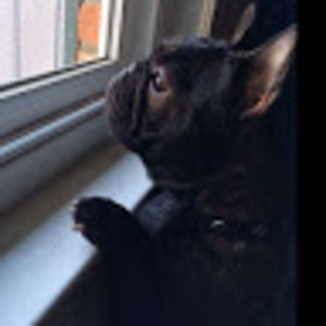 Meet your Posher, Alexander